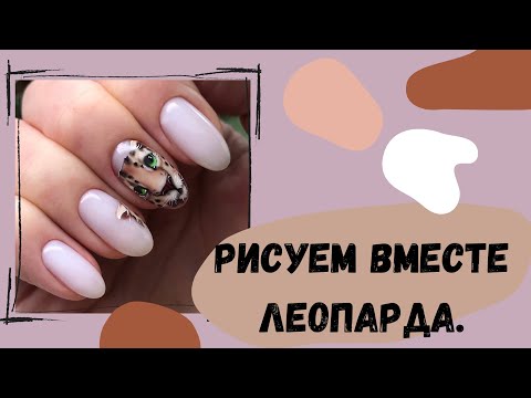 Видео: Рисуем вместе леопарда.