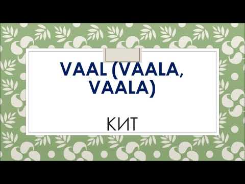 Видео: Eesti keel. Изучаем эстонский язык. Тема "Названия животных" / Loomade nimed.