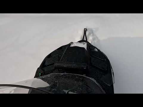 Видео: Прогулка на буране лидер в лесу