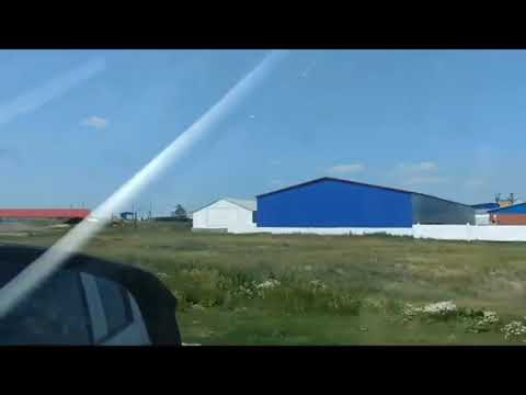 Видео: Возвышенка СКО, Казахстан 🇰🇿, лето 2023