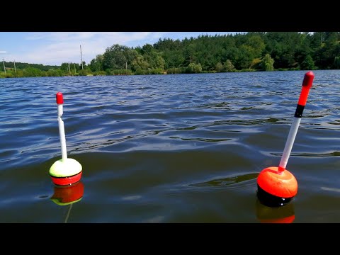 Видео: Рибалка на ТОВСТОЛОБА і КОРОПА з ночівлею. Стільки сходів риби я ще не бачив😳🎣