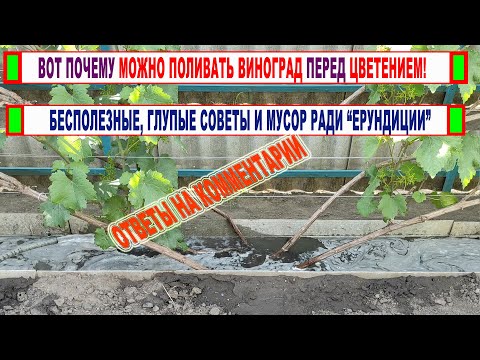 Видео: 🍇 Почему нельзя ПРОВОДИТЬ ПОЛИВ ВИНОГРАДА перед ЦВЕТЕНИЕМ. Обзёр ваших комментов. Новая рубрика!
