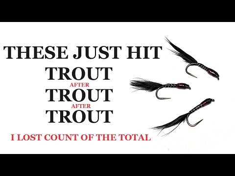 Видео: 221. Ловля рыбы нахлыстом с помощью потягивающих сигнализаторов = большой улов