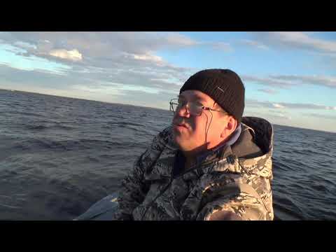 Видео: Рыбалка на средней Волге ловим леща