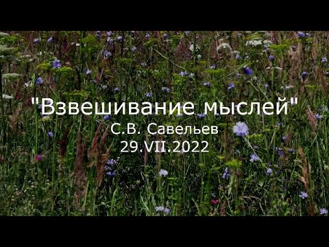 Видео: С.В. Савельев - Взвешивание мыслей