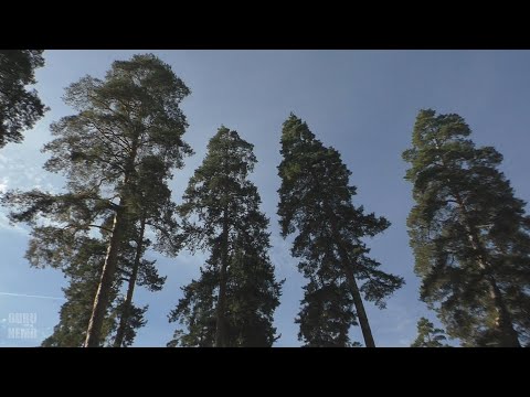 Видео: Засурье - Ахуны - Барковка - Западная.