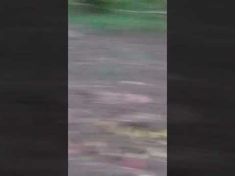 Видео: 2025 - ЙИЛ  30 - ОКТЯБРЬ  ГРУНТ 1