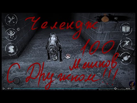 Видео: ЧЕЛЛЕНДЖ!!! 100 МЕШКОВ С ПЭСОМ!!! Eyes.