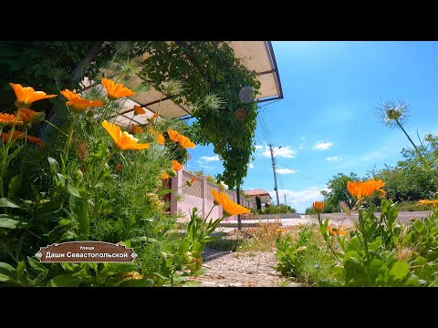 Видео: Записки севастопольского экскурсовода. Улица Даши Севастопольской