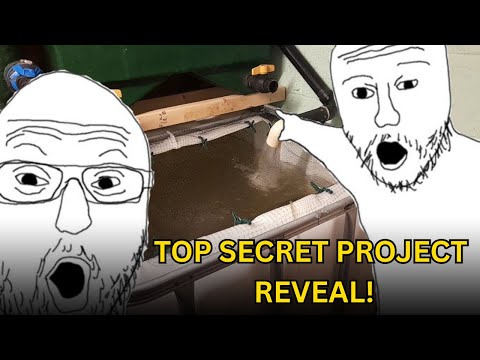 Видео: РАСКРЫТ СОВЕРШЕННО СЕКРЕТНЫЙ ПРОЕКТ — IBC Indoor Koi Grow-on Tank