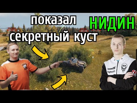 Видео: Нидин УЧИТ Джова как ИГРАТЬ на EBR 105!  Показал "секретные" кусты которые ломают МАЛИНОВКУ!