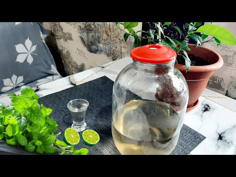 Видео: Настойка Домашний махито/Проверка рецепта