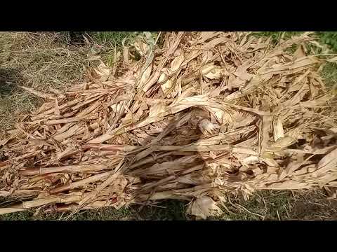 Видео: СЕНОРЕЗКА БОБЁР номер телефона в описании.