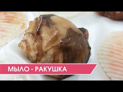 Видео: Мыло - ракушка "Рапана". Силиконовые молды для мыловарения.