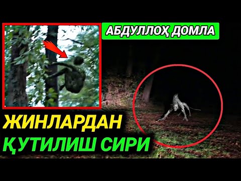 Видео: Abdulloh Domla Jinlar Haqida || Абдуллох Домла Жинлар Хакида • ilmnuri