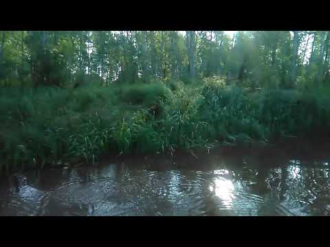 Видео: утренняя проверка сетей...