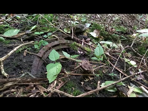 Видео: Новое место с хорошим металлом!!!