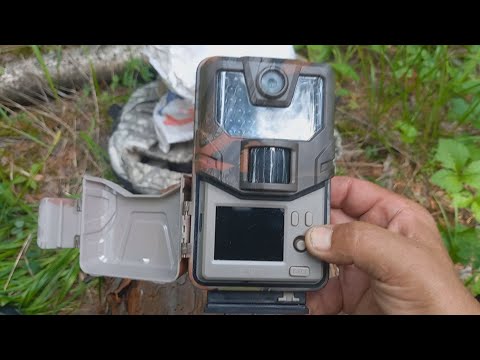 Видео: Фотоловушка Trail Camera wifi900pro обзор