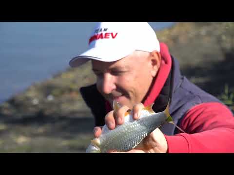 Видео: Ловим на фидер  Осенняя рыбалка  Плотва и не только