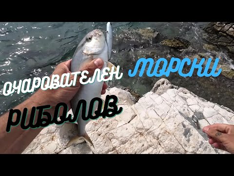 Видео: ОЧАРОВАНИЕТО НА МОРСКИЯ РИБОЛОВ