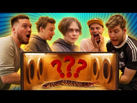 Видео: АМКАЛ НАЩУПАЛ #2 | Герман vs Саня | Гена Миллер, Нечай, Федя Маслов