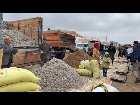 Видео: УРГАНЧ ЕМ ХАШАК КУНЖАРА КЕПАК  НАРХЛАРИ 9-НОЯБР !!! XORAZM SAVDO 