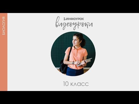 Видео: Эукариоты и прокариоты | Биология 10 класс #12 | Инфоурок