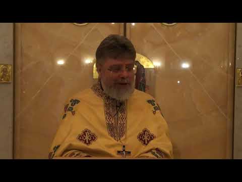 Видео: Слово перед причастием на Божественной Литургии 1 января 2022г.