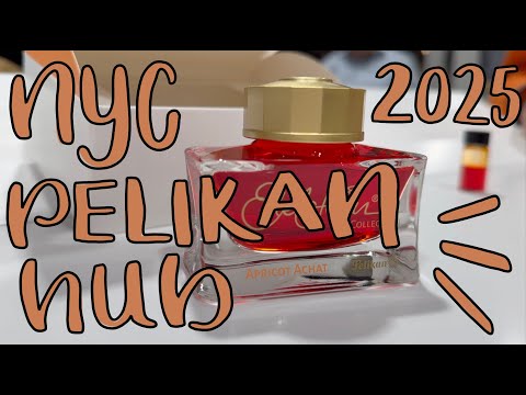 Видео: NYC Pelikan Hub 2025 | Подготовка, итоги и моё честное мнение 😑