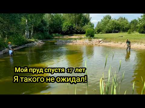 Видео: МОЙ Пруд на участке. Рыбалка сетями. Рыбалка.
