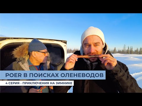 Видео: HAVAL POER на Ямальском зимнике. Серия 4 - А где оленеводы?