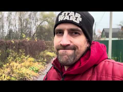 Видео: Утро в деревне | Новое название | Туман | Влог