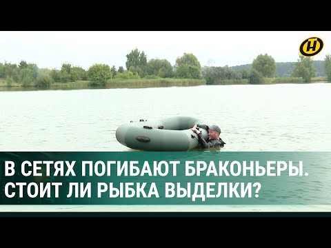 Видео: Опасное хобби: как в сетях погибают браконьеры. Стоит ли рыбка выделки? Инспекторы проводят рейды