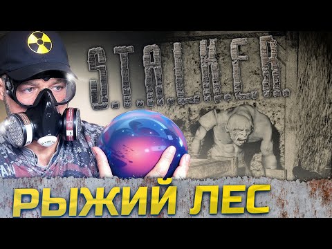 Видео: РЫЖИЙ ЛЕС ➖ Stalker Ловец снов ➖ Серия 10