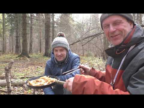 Видео: Поход Выходного Дня в осеннюю глушь. Днюха в Глуши. Готовим трубача