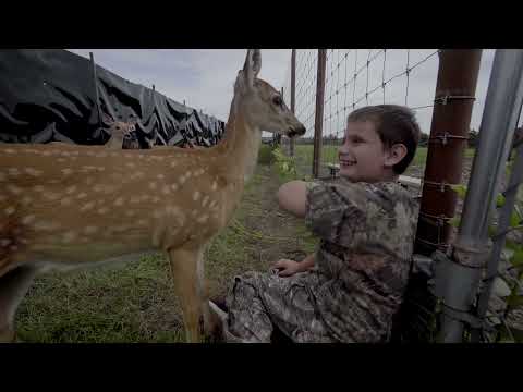 Видео: НАДЕЖДЫ ВЫСТРЕЛ / A SHOT OF HOPE