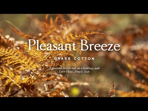 Видео: Приятный ветер, встреченный на прогулке l GRASS COTTON+