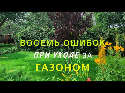 Видео: 8 ошибок/при УХОДЕ за ГАЗОНОМ.