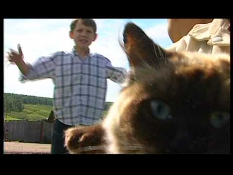 Видео: Дима Блинников - «Хочу в деревню»