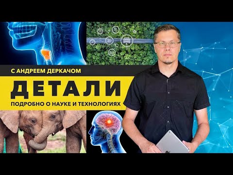 Видео: Дорога, заряжающая электромобили. Устройство, возвращающее способность говорить. ДЕТАЛИ