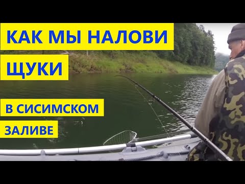 Видео: Сисим. КВХ. Рыбалка в заливе. Щука на спиннинг. Ловля щуки на воблеры и джиг. Красноярское море.