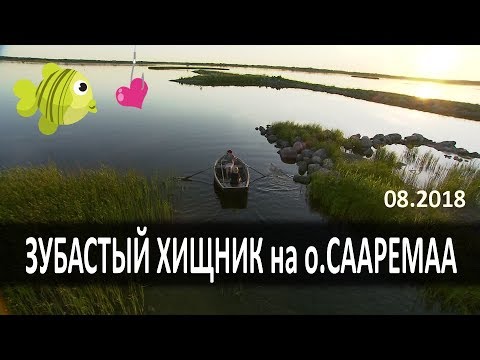 Видео: Щучий рай:))) - Рыбалка на Сааремаа 2018 г. (Saaremaa)