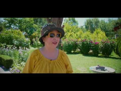 Видео: Термальный источник в поселке Отеген Батыра