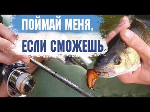 Видео: Выбираем снасть для успешной ловли голавля. Тонкости рыбалки.