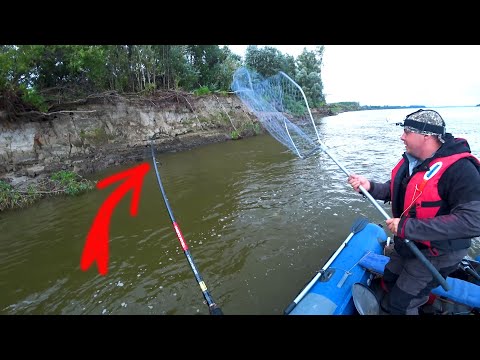 Видео: НОРМА ВЫЛОВА ЗА 10 МИНУТ!!! ЩУКА СХОДИТ СУМА! Парабель. Щука, окунь, судак трофеи.  День (Часть) 1