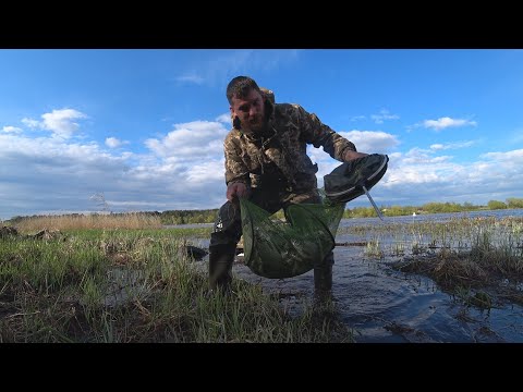 Видео: Весенняя раздача Сопы (Синца) | Супер улов |Запасся вяленкой на год!