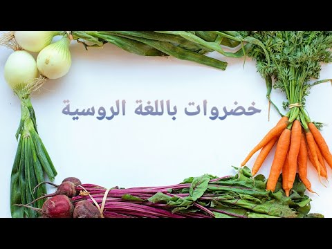 Видео: الخضر باللغة الروسية"овощи"