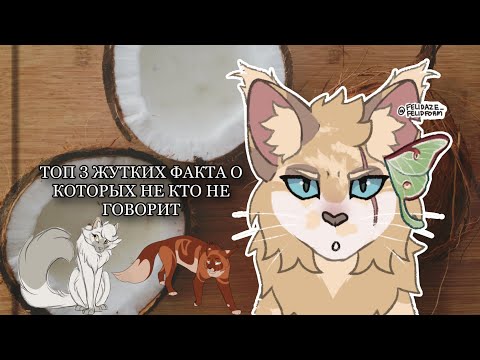 Видео: ТОП 3 ЖУТКИХ ФАКТОВ О КОТОРЫХ НЕ КТО НЕ ГОВОРИТ!🔒 - Цветущия - #возрадимрукв2