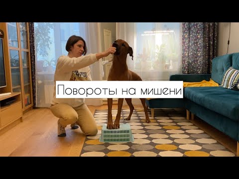 Видео: Развороты на мишени