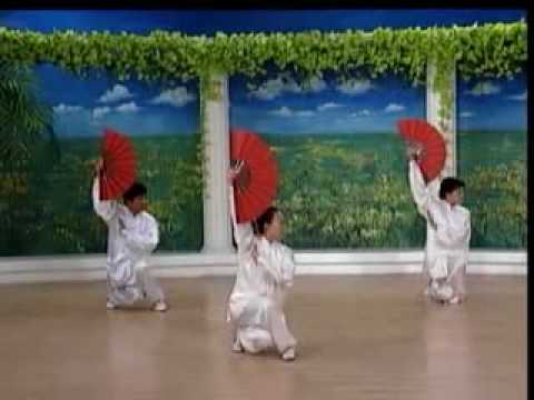 Видео: Веер кунгфу. 52 форма.flv